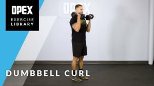 Dumbbell curl by: OPEX Fitness