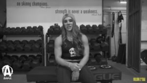 Warm Ups with Stefi Cohen by: Animal