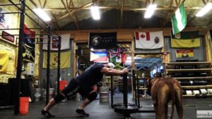 Sled Work For Bigger Legs by: Brian Alsruhe