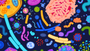 9 Facts on Gut Bacteria and Mental Health by: Atlas Blog