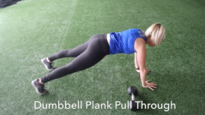 Dumbbell Plank Pull Thru by: Stefania Ciulla