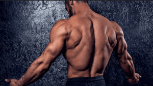 The 8 New Rules of Back Training Next Level Strategies for Guaranteed Growth by: Calvin Huynh