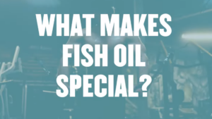 The benefits of fish oil and why you need omega 3 by: Myprotein