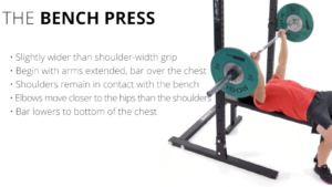 The Bench Press by: Crossfit