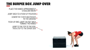 The Burpee Box Jump Over by: Crossfit