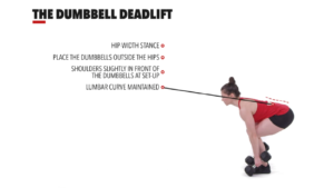The Dumbbell Deadlift by: Crossfit