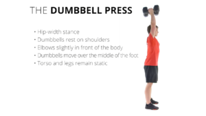 The Dumbbell Press by: Crossfit