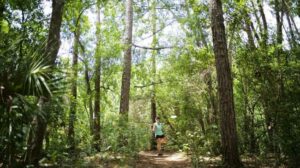 Disc golf and mental health by: PDGA