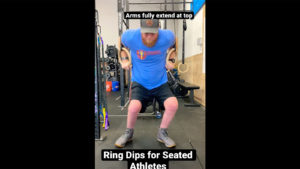 Ring dips for seated athletes by: WheelWOD