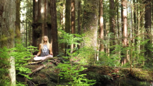 15 Minute Guided Meditation | Strength & Grounding In Stressful Times by: Boho Beautiful Yoga
